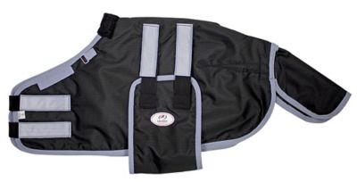 Image showing  No Hardware 600D Winter Foal/Miniature Horse Turnout Blanket, Mediumweight, 150g