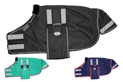 Derby Originals No Hardware 1200D Winter Foal/Miniature Horse Turnout Blanket, Mediumweight, 150g