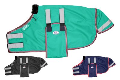 Product color Turquoise