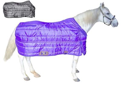 Derby Originals Wind Storm West Coast Winter 420D 200g Mediumweight Horse Stable Blanket