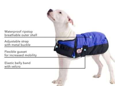 Image showing 2 th Derby Originals Horse-Tough Classic 600D Mediumweight Winter Dog Coat with 150g Insulation, 80-8124OR-XL