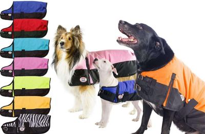 Derby Originals Horse-Tough Classic 600D Mediumweight Winter Dog Coat with 150g Insulation, 80-8124OR-XL
