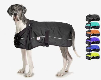Image showing  Horse-Tough Premium 600D Mediumweight Winter Dog Coat with 150g Insulation