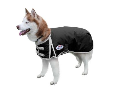 Image showing  Horse-Tough Classic 600D Mediumweight Winter Dog Coat with 150g Insulation, 80-8125PU-XXL