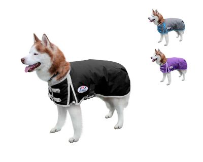 Derby Originals Horse-Tough Classic 600D Mediumweight Winter Dog Coat with 150g Insulation, 80-8125PU-XXL