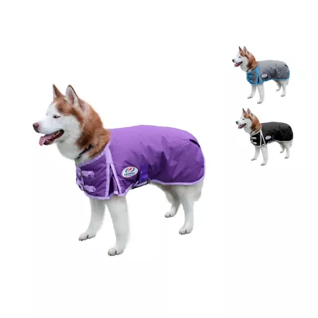 Derby Originals Horse-Tough Classic 600D Medium Weight Dog Winter Coat 150g Dog Coats & Jackets