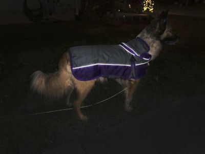 Image showing 5 th Derby Originals Ruff Pup 1200D Mediumweight Winter Dog Coat with Neck Cover and 220g Insulation