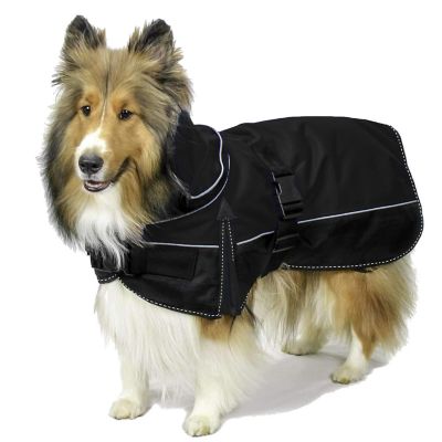 Derby Originals Ruff Pup 1200D Mediumweight Winter Dog Coat with Neck Cover and 220g Insulation