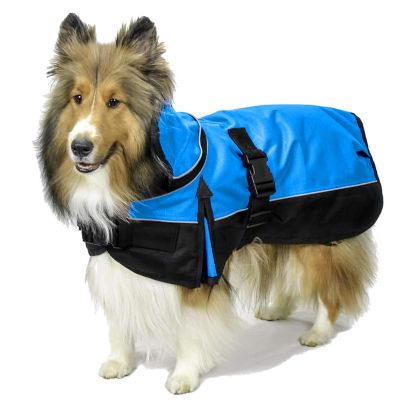 Derby Originals Ruff Pup 1200D Mediumweight Winter Dog Coat with Neck Cover and 220g Insulation