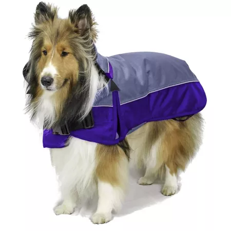 Derby Originals Ruff Pup 1200D Medium Weight Dog Winter Coat with Neck Warmer 220g Dog Coats & Jackets