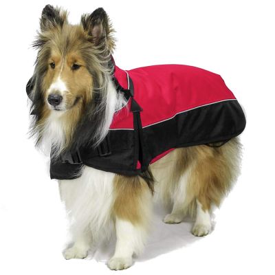 Derby Originals Ruff Pup 1200D Mediumweight Winter Dog Coat with Neck Cover and 220g Insulation