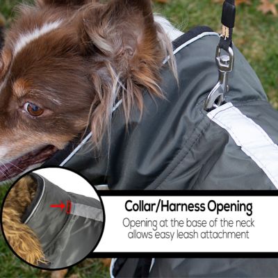 Image showing 5 th Derby Originals Urban 420D Mediumweight Winter Dog Parka with Neck Cover and 220g Insulation