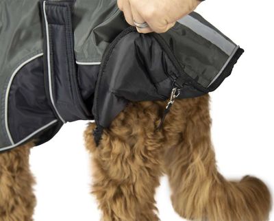 Image showing 7 th Derby Originals Urban 420D Mediumweight Winter Dog Parka with Neck Cover and 220g Insulation