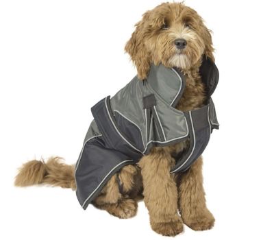 Image showing  Urban 420D Mediumweight Winter Dog Parka with Neck Cover and 220g Insulation