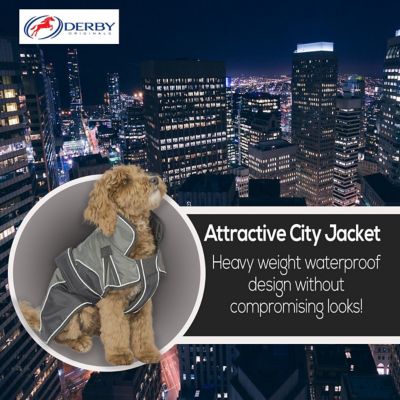 Image showing  Urban 420D Mediumweight Winter Dog Parka with Neck Cover and 220g Insulation