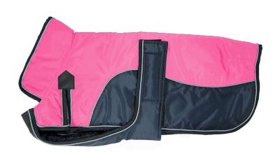 Image showing 2 th Derby Originals Urban 420D Mediumweight Winter Dog Parka with Neck Cover and 220g Insulation