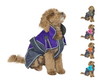 Product TrademarkColor1