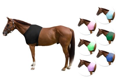 Image showing  Lycra Stretch Horse Shoulder Guard