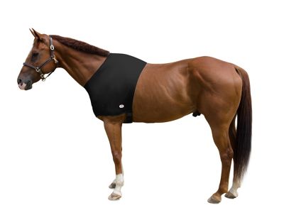 Image showing  Lycra Stretch Horse Shoulder Guard