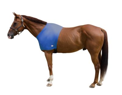 Image showing  Lycra Stretch Horse Shoulder Guard