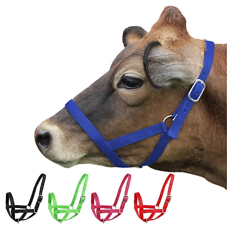 Derby Originals Nylon Cattle Halter for Barn and Turnout