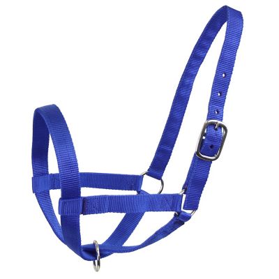 Image showing  Nylon Cattle Halter for Barn and Turnout