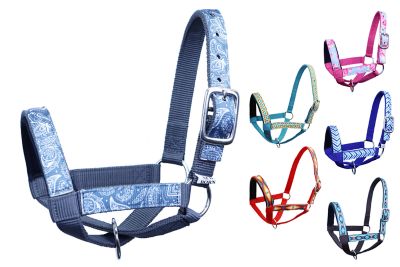 Derby Originals Nylon Cow Halter with Padded Overlay