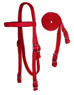 Image showing  Nylon Double-Layered Western Draft Headstall with Matching Reins