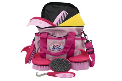Image showing  9 pc. Premium Comfort Complete Horse Grooming Kit, Pink
