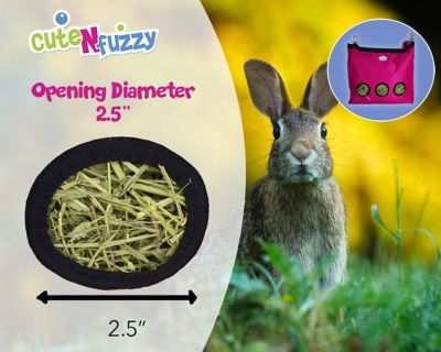 Image showing  Easy Feed Small Pet Hanging Hay Bag for Guinea Pigs and Rabbits, Purple, Large