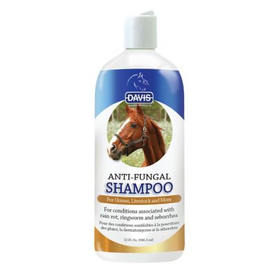 Davis Manufacturing Equine Anti-Fungal Shampoo