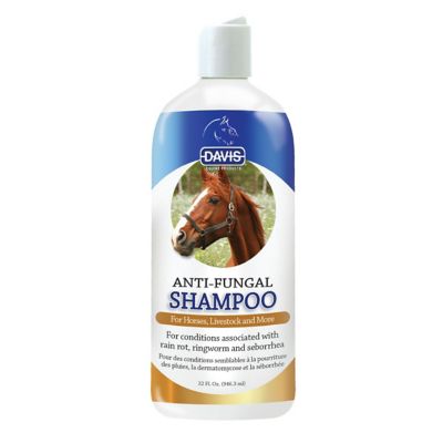 First companion hot sale antifungal shampoo