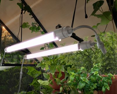Image showing  Brighton LED Grow Light, HG1042