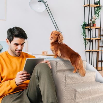 Image showing  4-Step Herringbone High-Density Foam Dog Stairs for Dogs Up to 30 lb.