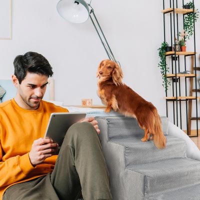 Image showing  4-Step Herringbone High-Density Foam Dog Stairs for Dogs Up to 30 lb.