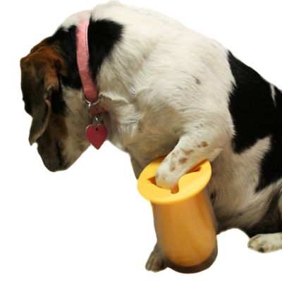 Image showing  Dog Paw Cleaner