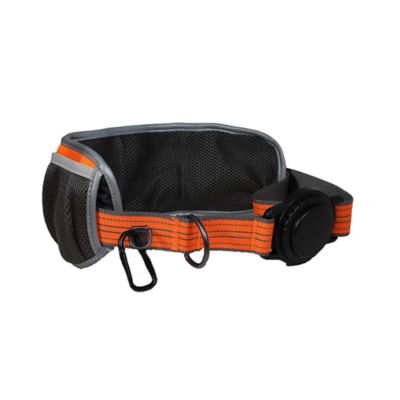 Image showing  Bungee Belt Dog Leash Combo, 4-5.5 ft. L