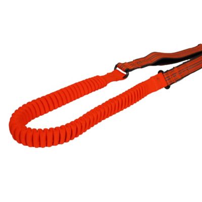 Image showing  Bungee Belt Dog Leash Combo, 4-5.5 ft. L