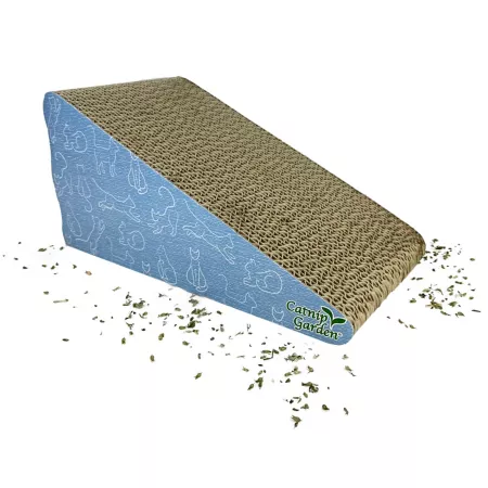 Multipet Garden Catnip for Cats with Catnip Toy Scratchers