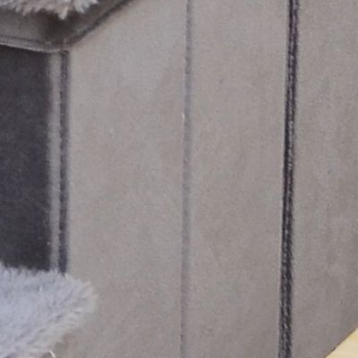 Image showing  2-in-1 Pet Stepping Ladder with Storage, Stairs for Senior Pets