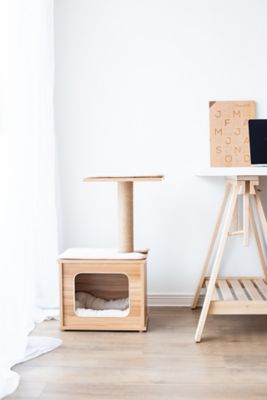 Catry 30 in. Minimalist Cedar Cat Tree