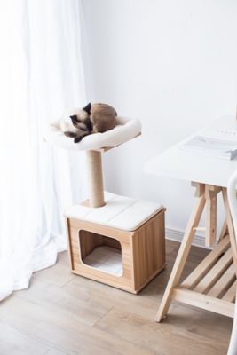Image showing  30 in. Minimalist Cedar Cat Tree