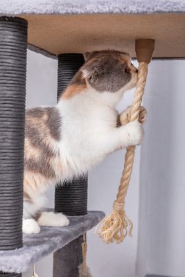 Image showing 9 th Catry 63 in. Babylon Cat Tree