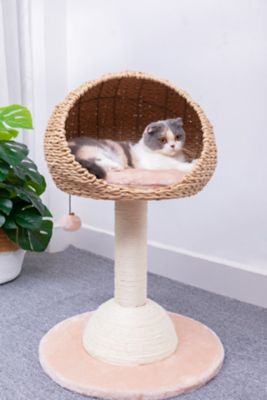 PetPals Lookout 2-Level Cat Tree with Sisal Scratching Post