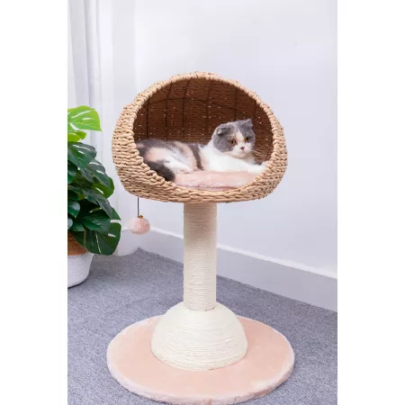 PetPals Lookout 2-Tier Cat Tree with Sisal Scratching Post Cat Trees & Condos