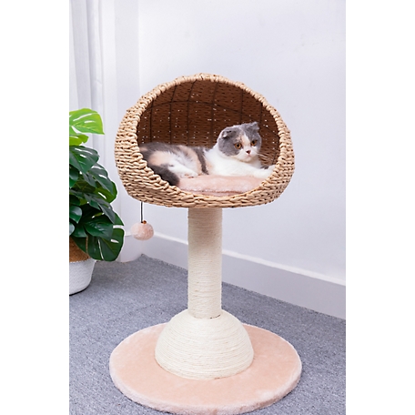 PetPals Lookout 2-Level Cat Tree with Sisal Scratching Post