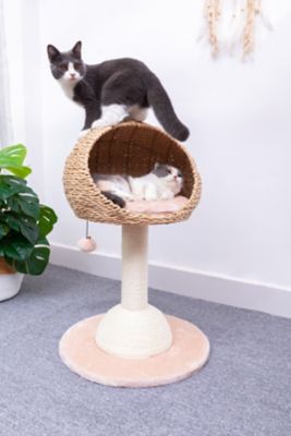 Image showing  29 in. 2-Level Lookout Cat Tree with Sisal Scratching Post