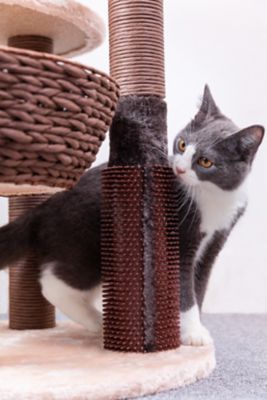 Image showing 5 th PetPals 48.5 in. 5-Level Pharaoh Cat Tree with Paper Rope Scratching Posts
