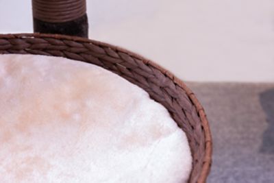 Image showing 8 th PetPals 48.5 in. 5-Level Pharaoh Cat Tree with Paper Rope Scratching Posts