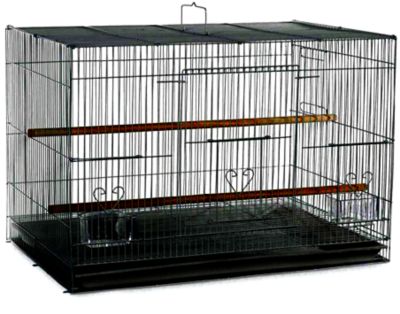 A&E Cage 24 in. x 16 in. Light Wire Flight Bird Cage, Black